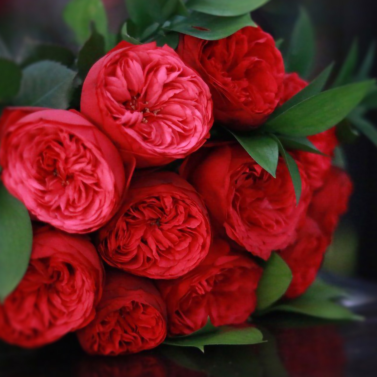 букет из пионовидных роз Рэд Пиано