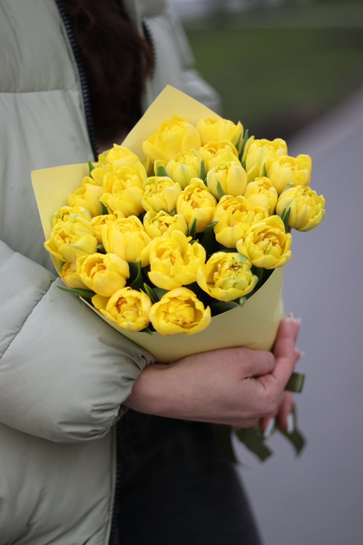 Пионовидные желтые тюльпаны